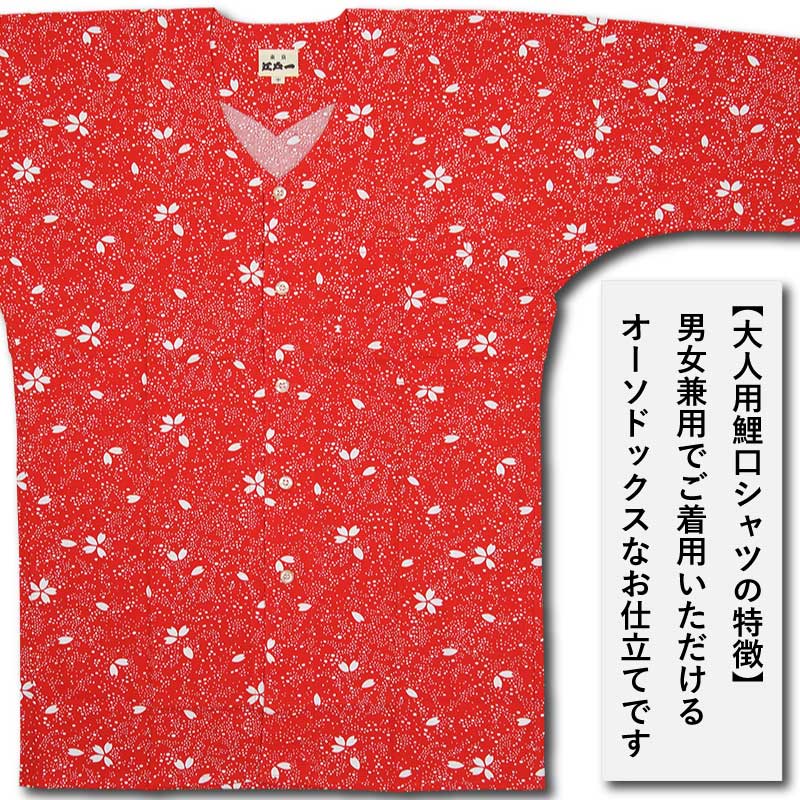 Ͱ좣ץȸġڤ֡ѡ˽ѡˡ