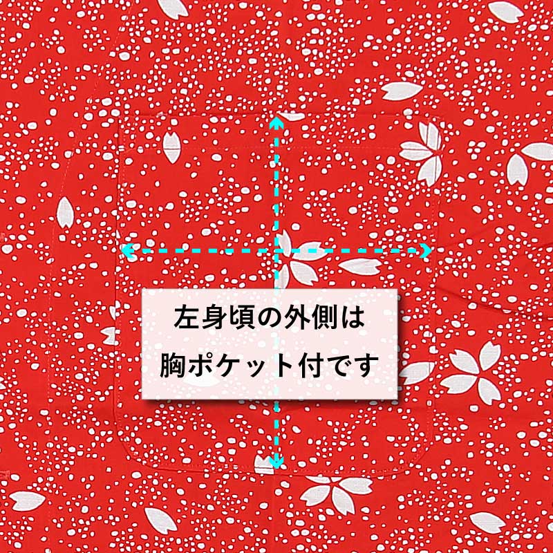 Ͱ좣ץȸġڤ֡ѡ˽ѡˡ