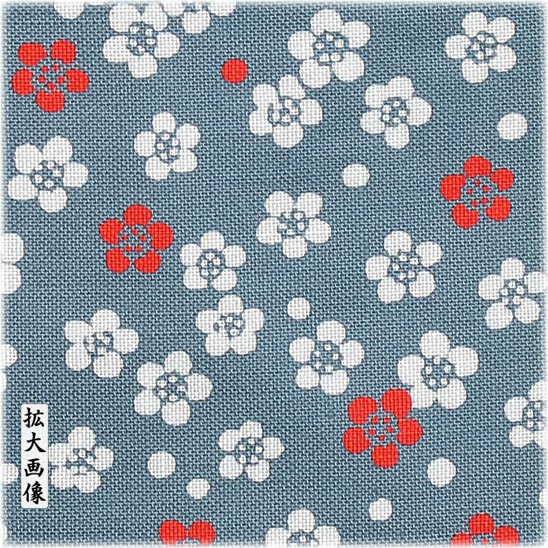 �ץݥ����åȡڹ��Ͱ���ߡʤ���ˢ������������¡�