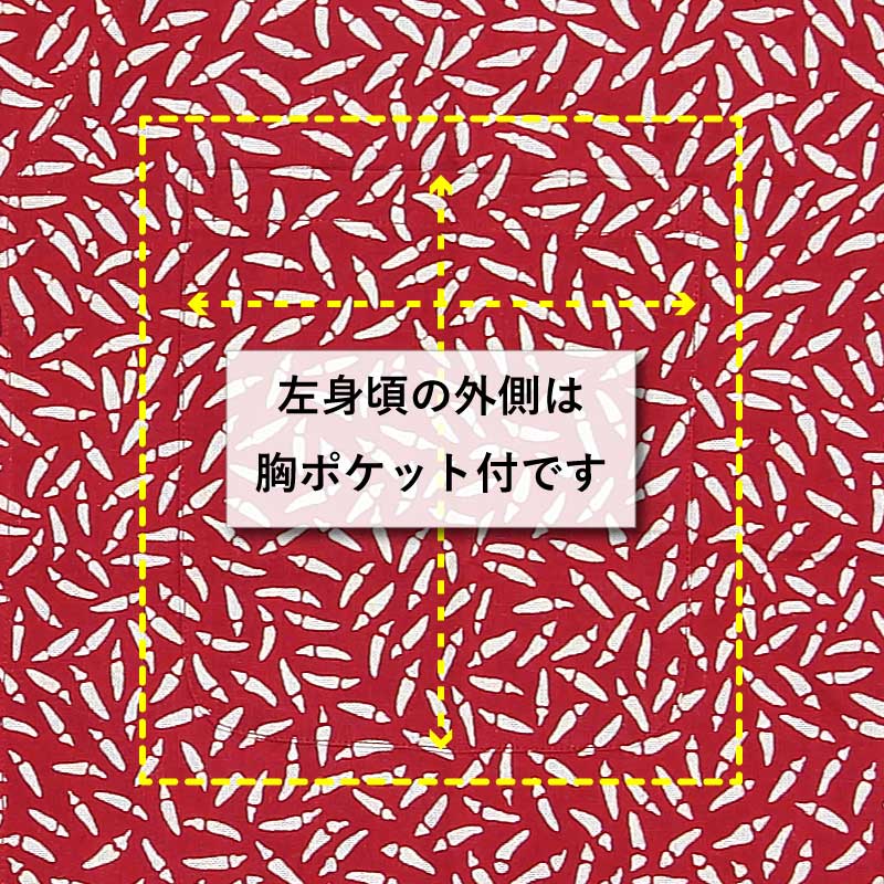 ���Ͱ좣������������ġ��⤬�餷�������꿡������ѡ��˽����ѡ�