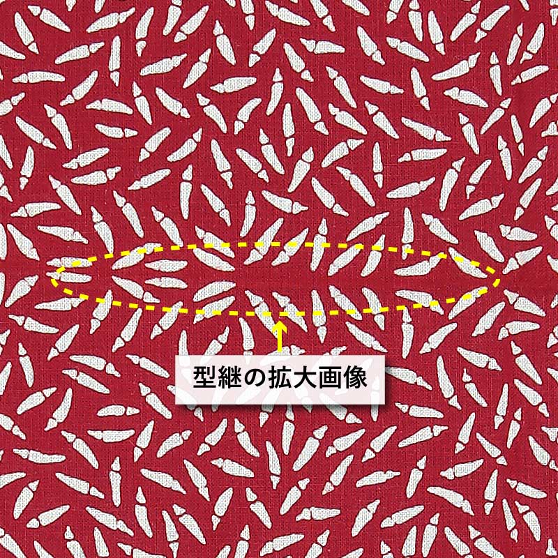 ���Ͱ좣������������ġ��⤬�餷�������꿡������ѡ��˽����ѡ�