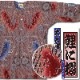 ���ں����ʡ���������������ġָ��ݯ�ä����ˤ�����ץ��󥸹��ɻҡ�ȴ��