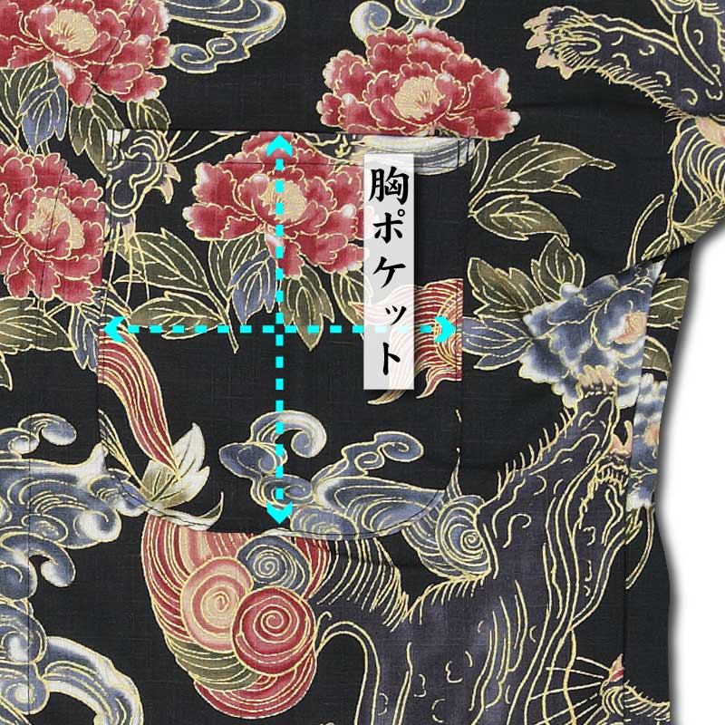 2026ǯ�����������ץ��ȸ������ġ����ҡä��餸���եɥӡ�����ʹ��˥������Ω