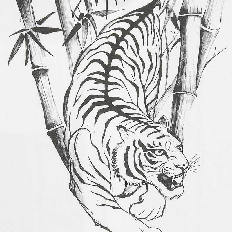 2026ǯ���������������������ġڸפ��ݡäȤ�Ȥ��������㢣�Хå��ץ���