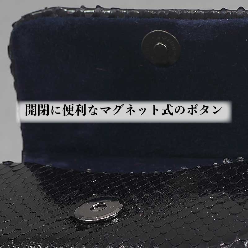 二胡　蛇皮　黒壇　ハードケース付 1227190207_676e7b1f713b1.jpg