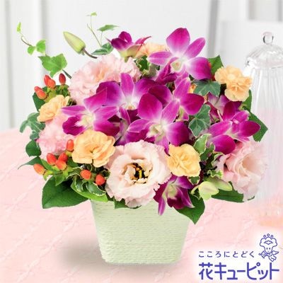 �������¨�����Ϥ���ǽ�ۥǥ�ե���ȥȥ륳�����祦�Υ���󥸥���