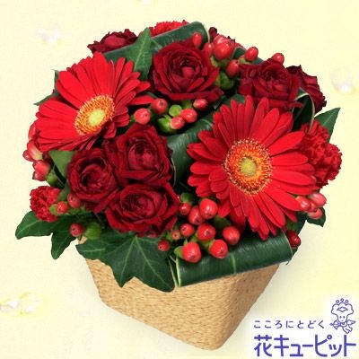 ¨Ϥǽ֤Υ٥ȥХΥ󥸥