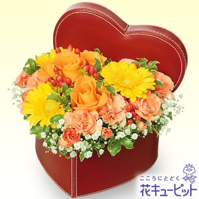 �������¨�����Ϥ���ǽ�ۥ�����������󥸤Υϡ��ȥܥå���