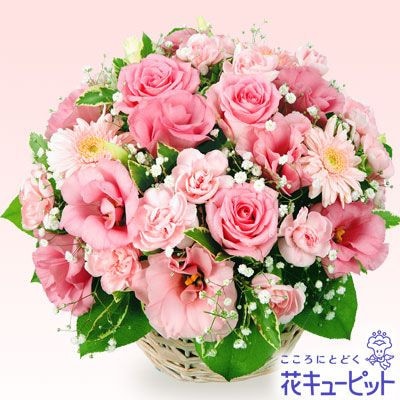 �������¨�����Ϥ���ǽ�ۥԥ󥯤Υ���󥸥���