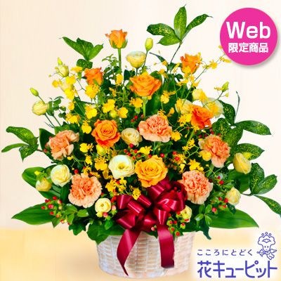 ¨Ϥǽۥ󥸥ХΥܥ󥢥󥸥