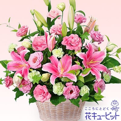 �������¨�����Ϥ���ǽ�ۥԥ󥯥��ȥȥ륳�����祦�Υ���󥸥���