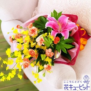 �������¨�����Ϥ���ǽ�ۥ��ȥ����͡������β�«