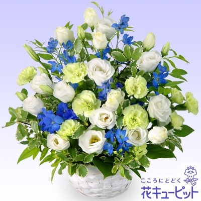 �������¨�����Ϥ���ǽ�ۤ������Υ���󥸥��ȡ��򡦥֥롼