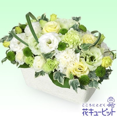 ¨ϤǽۤΥ󥸥ȡ򡦥꡼