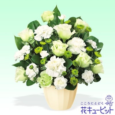 ¨ϤǽۤΥ󥸥ȡ򡦥꡼