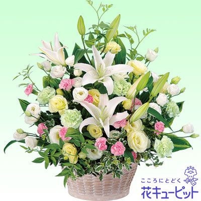 �������¨�����Ϥ���ǽ�ۥ��Τ���������󥸥��ȡ��򡦥ԥ�