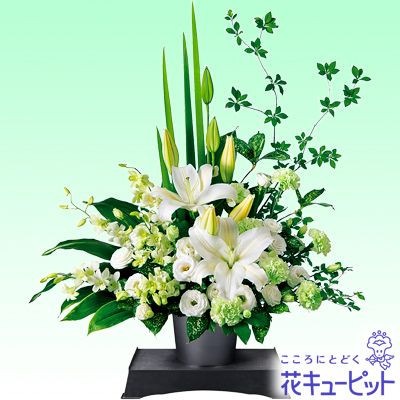 全国へ即日お届け可能 供花台付 お供えアレンジメント 白 グリーン 全国即日届く 花キューピット 老舗花屋の通販サイト 松庄花壇 Matushokadan Shop 全国へ即日お届け可能 供花台付 お供えアレンジメント 白 グリーン 全国即日届く 花キューピット 老舗花屋の通販サイト 松庄花壇 Matushokadan Shop