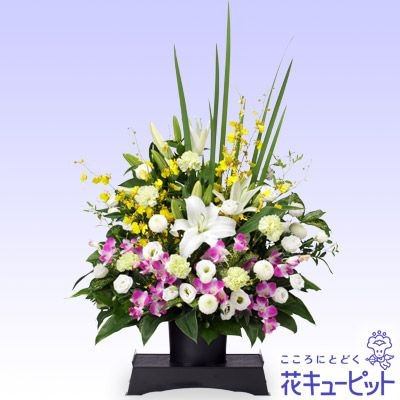 ¨Ϥǽ۶աβڤ䤫ʤ󥸥ȡ