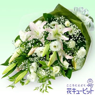 �������¨�����Ϥ���ǽ�ۥ��Τ������β�«