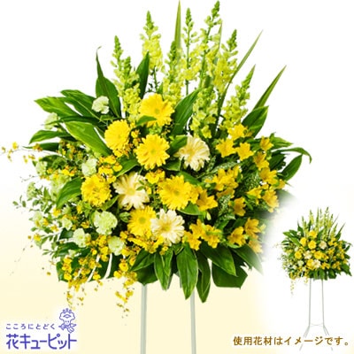 �������¨�����Ϥ���ǽ�ۤ��ˤ�������ɣ��ʡ�������