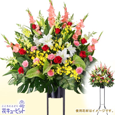 �������¨�����Ϥ���ǽ�ۤ��ˤ�������ɣ��ʡ��ߥå������顼