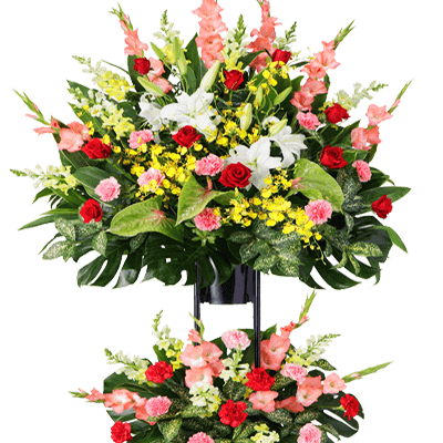 �������¨�����Ϥ���ǽ�ۤ��ˤ��������2�ʡ��ߥå������顼