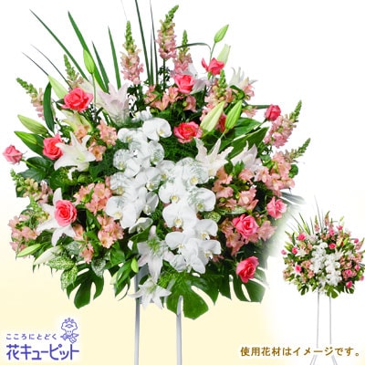 �������¨�����Ϥ���ǽ�ۤ��ˤ�������ɣ��ʡ���ĳ�������򡦥ԥ�