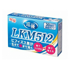 アロン化成　巡優ＬＫＭ５１２（１箱×１０個）　１０箱セット　５３４５１３