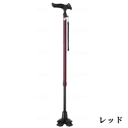 かるがもＥ　４点ＤＸ伸縮