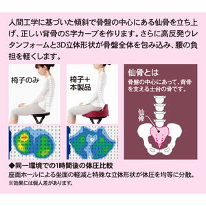 アルファックス 仙骨クッション 仙律 AP-621614 | カテゴリーから探す