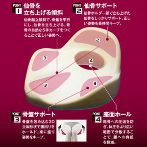 アルファックス 仙骨クッション 仙律 AP-621614 | カテゴリーから探す