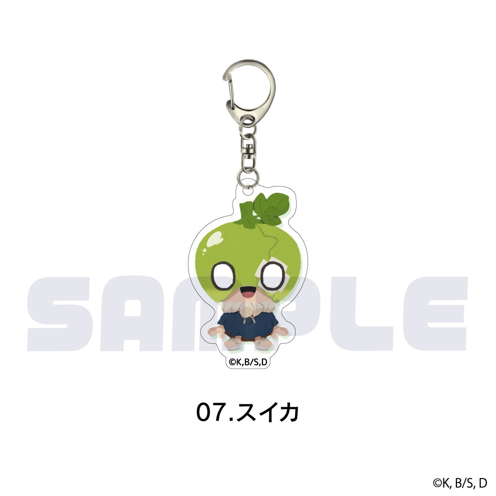 Dr.STONE 公認 アクリルキーホルダー