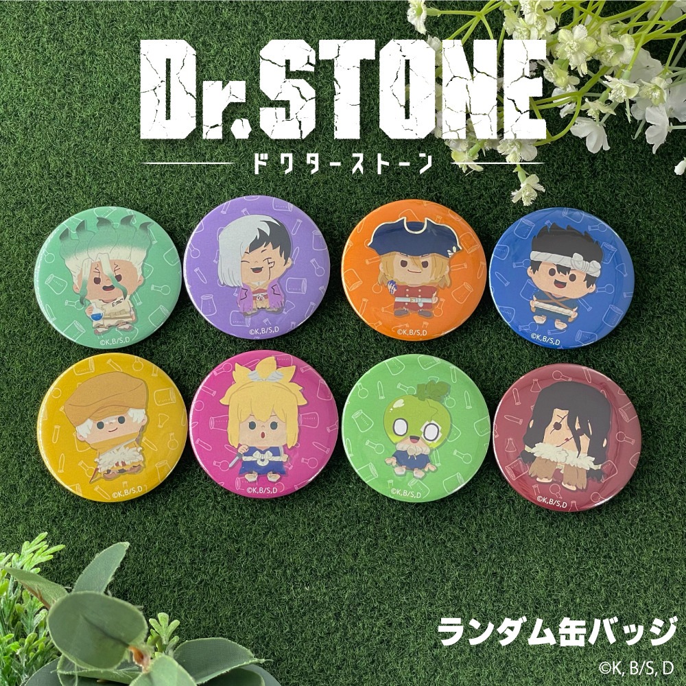 Dr.STONE 公認 ランダム 缶バッジ | Dr.STONE | Japan Anime