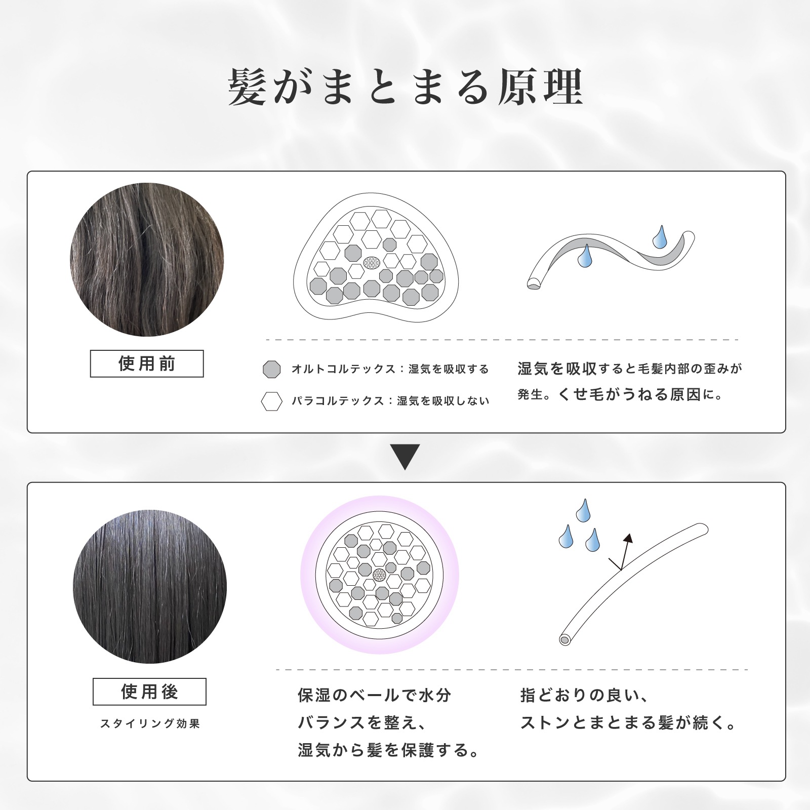 �ڸ����ۥץ���إ��������������