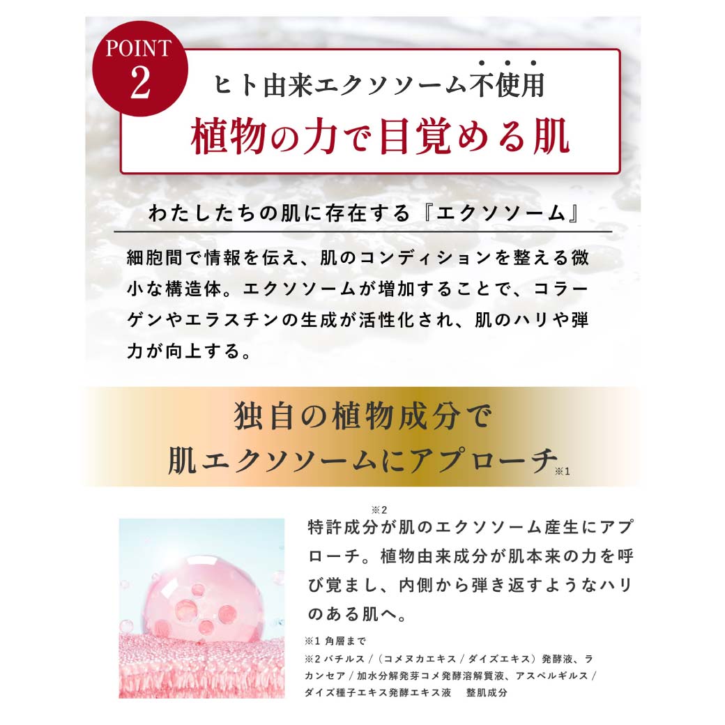 �ڸ����ۥ��å� ����ƥ󥹥�ե� �ʥ��ȥ����