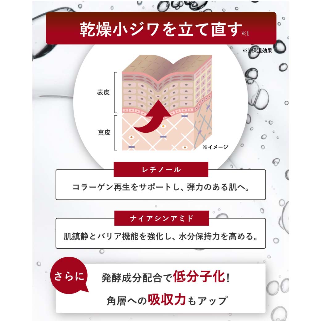 �ڸ����ۥ��å� �ʥ���WR����ȥ����륱�����꡼��