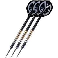 【XQ DARTS MAX】Career Slam Special Edition　21ｇ　STEEL|ハードダーツ