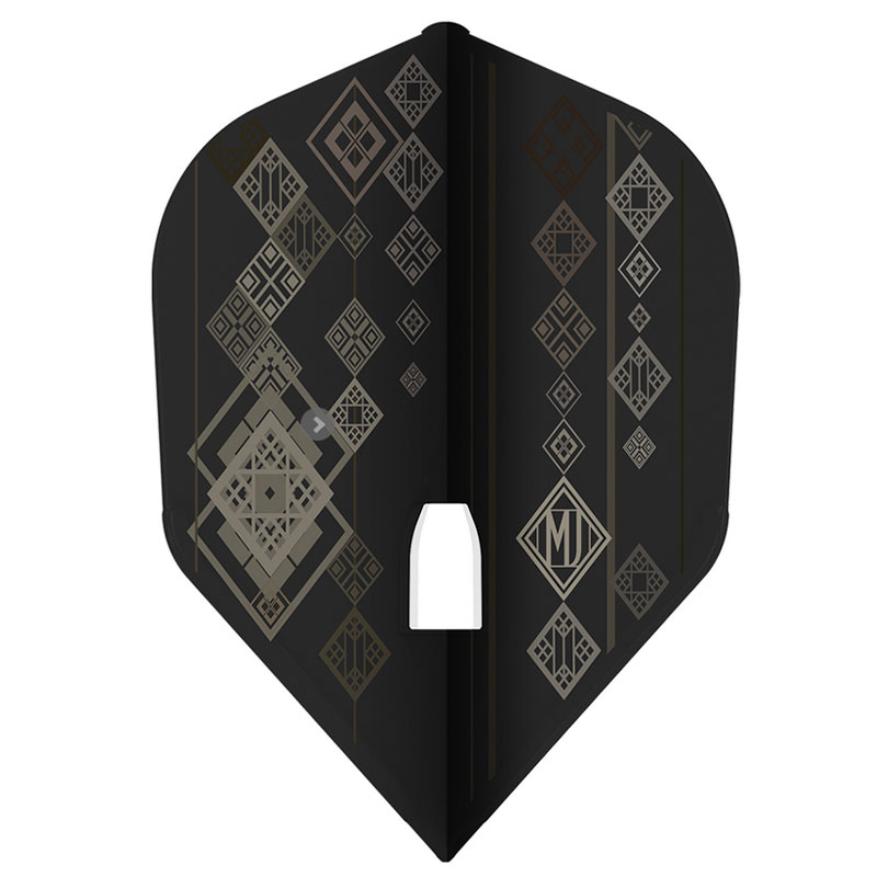 エルフライトプロ 浅田斉吾 2024 スーパーダーツ チャンピオン L5 L