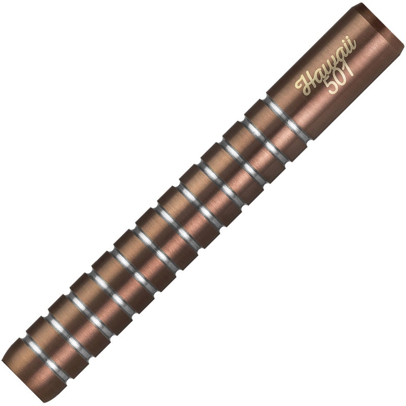 LEGEND Wayne Mardle Hawaii 501 | ソフトダーツ | ダーツ用品
