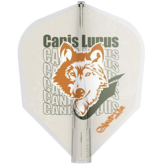 ȥե饤 ƥ祤  8 FLIGHT  GYUNG TAE CHOI SHAPE ե饤