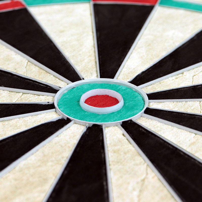 ダイナスティ ダーツボード エンブレムキング NW 451 DYNASTY DARTS