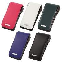 ᥪ ĥ ˡ ١å CAMEO DARTS CASE TINY BASIC