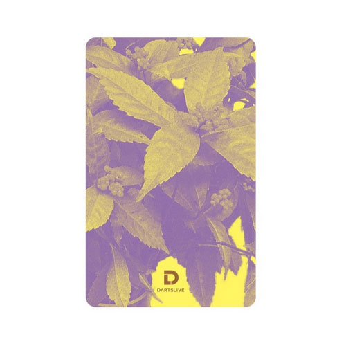 限定　ダーツライブカード ダーツ DARTSLIVE CARD ライブカード ダーツライブカード 57-4