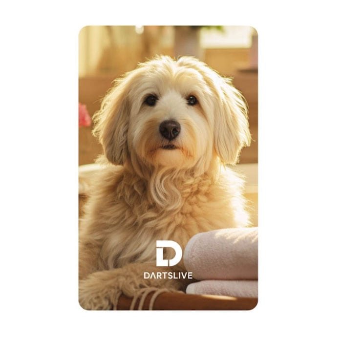 ダーツライブ カード 57-6 dartslive game card 57-6 | アクセサリー