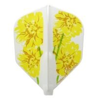 �ե��åȥե饤�� ������� �������� Fit Flight  Nami Iwasaki Shape ������ �ե饤��