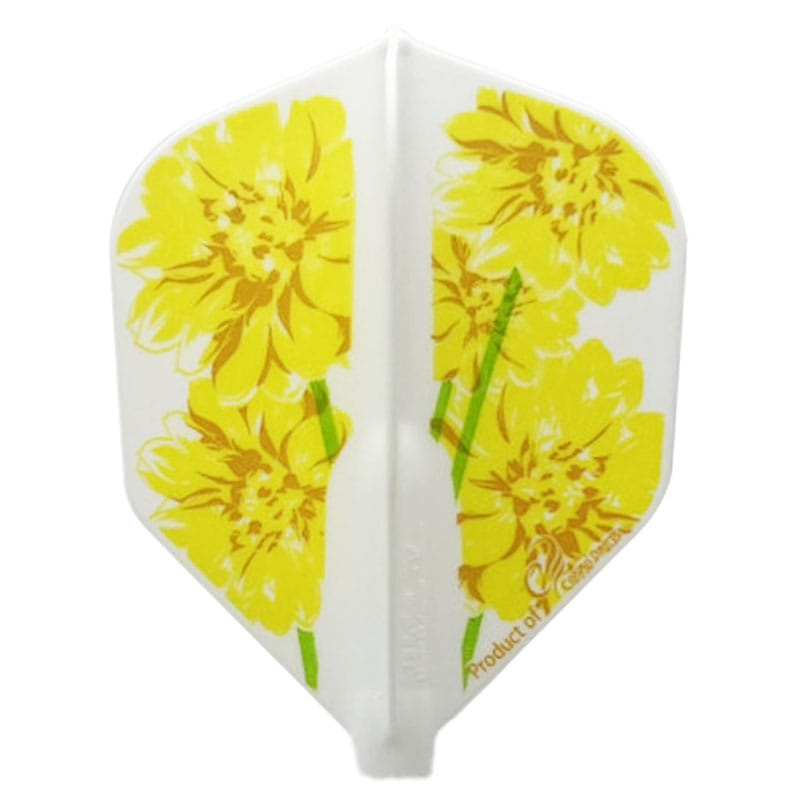 �ե��åȥե饤�� ������� �������� Fit Flight  Nami Iwasaki Shape ������ �ե饤��