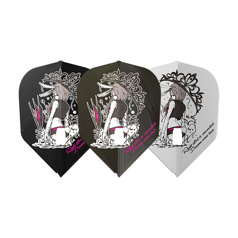 ダーツケース 全知全能 セッティングダーツ2セット収納プラスチック ダーツケース 全知全能 セッティングダーツ2セット収納プラスチック