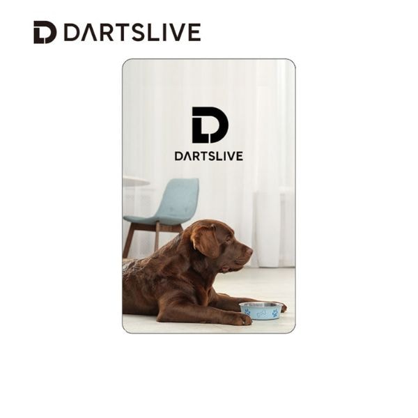 ダーツライブカード 58-9 dartslive game card 58-9