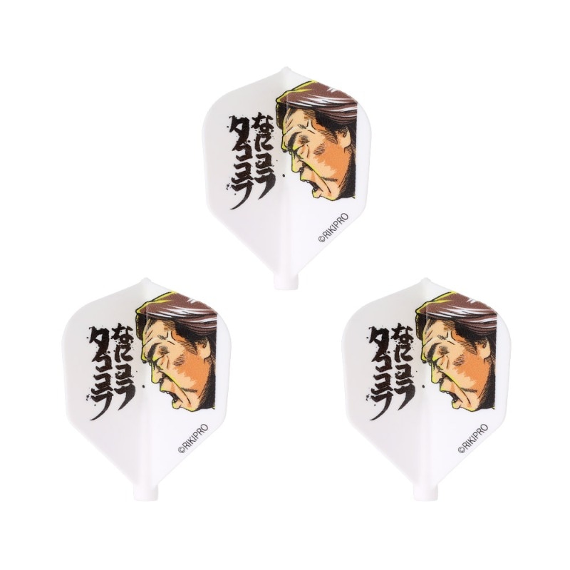 եåȥե饤 Ĺ ʤ˥饿 Fit Flight RIKI CHOSHU  ե饤