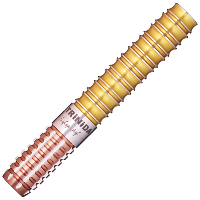 トリニダード キッド3 エボ TRiNiDAD KID TYPE3 EVO 後藤智弥 ダーツ